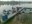 Arbeitsdienst Bild 3