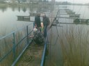 Arbeitsdienst