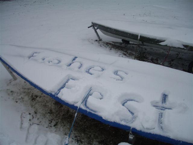 Fest 2009