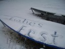 Fest 2009