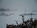 SCG Dezember 2009