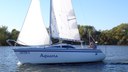 Abs10-800