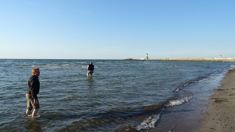 Die müden Muskeln erst in der Ostsee abkühlen ...